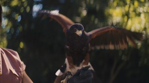 1.6K views · 381 reactions | Find yourself surrounded by the unbelievable—from the immense natural beauty down to the smallest detail. | See Monterey | Facebook