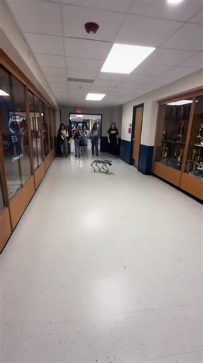 i don’t like that it can jump #fyp #viral #xyzbca #robot #ai | robot dog