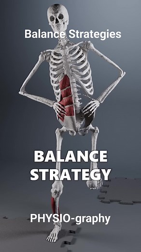 Balance Strategies #balance #biomechanics #physicaltherapy #BiomechanicsMatters #FootAndAnkleCare #orthopedics | PHYSIO-graphy