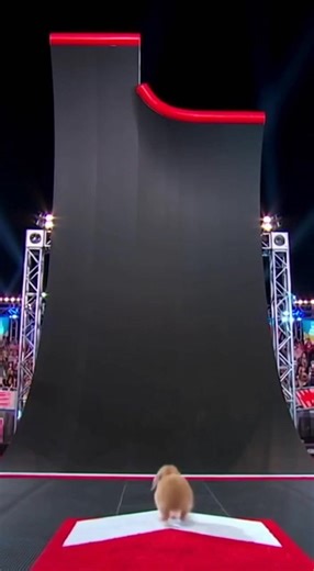 SASUKE🐰 #rabbit #bunny #sasuke #ai