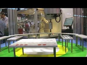 Mitsubishi Electric Pick and Place Robot Demo