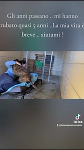 1.5K views · 87 reactions | Quasi 5 anni BUTTATI ..... Questa...