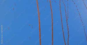 Close-up. Jets of red paint flow down. Paint splashing on blue. Splatter and droplet of red liquid