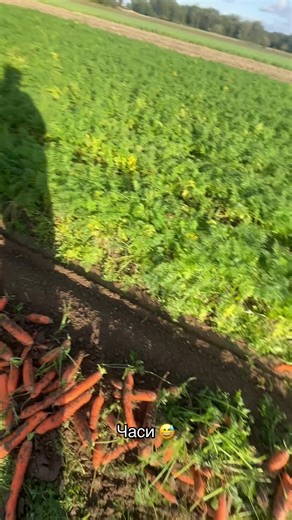 Filmy użytkownika Artem_999999 (@a_r_t_e_m_151) z muzyką оригинальный звук - M_P_T_R_I_X