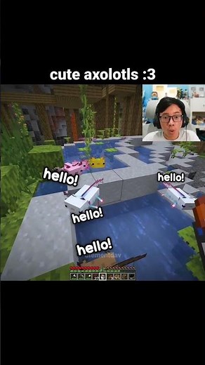 Minecraft Cute Axolotls Moment