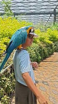 Eco Park 🌿☘️🦜🦤🦆🦚🦩🐧🍃#trending #viral #hyderabad #telangana #public #subscribe