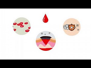 Blut ist lebenswichtig
