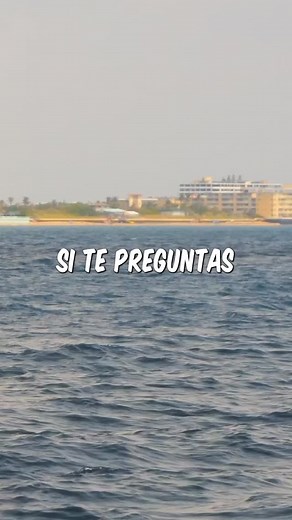 Pesca A Una Milla De Este Resort 🌴 #altamar #florida #vidadepescador #pescado #pesca | Barjacksespanol