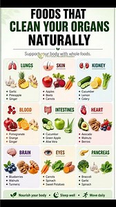 Foods That Clean Your Organs Naturally 🫀🧠🫁|Best Foods for Heart, Liver, Kidneys & Gut Health #health