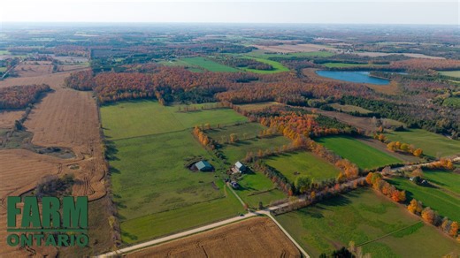 📍442146 Con Rd 8 NDR, Elmwood ON 💲$1,795,000 🌱A peaceful 100-acre country property near Elmwood, offering a mix of farmland, forest, and buildings. 👉 Nearly 100 acres, ~20 acres of mature forest 👉 Up to 80 workable acres available if desired 👉 Board and batten barn with 12 stalls 👉 Bank barn for more livestock and hay storage 👉 1880-built log home This property is perfect for horse enthusiasts or anyone seeking a quiet rural lifestyle! Call to book your showing! 📱519-670-5995 📬farmonta