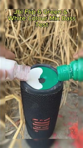 Jbl Flip 6 Green & White Colour Mix Bass Test #jbl #speaker #bass #viral #trending #shorts