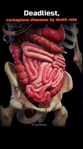 30K views · 463 reactions | Deadliest contagious diseases by death rate ☠️ #biology #covid19 #virus #science #diseases #contagious #earth #space #astronomy #scienceofinfinity | Science Of Infinity | Facebook