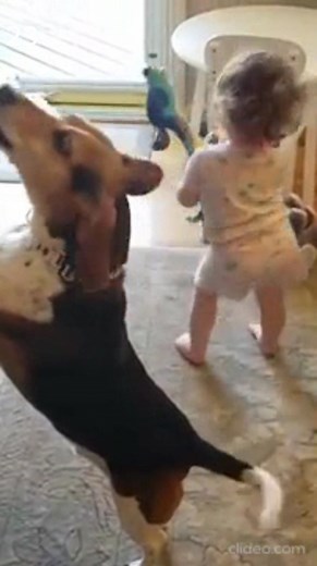 Dieses Mädchen und ihr Hund werden Ihnen den Tag versüßen – ihr Auftritt ist einfach zum Lächeln!Siehe Kommentare👇 | Unser Tägliches