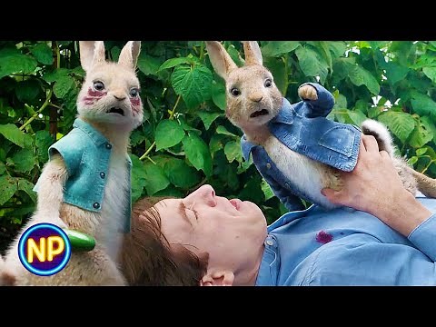 The Rabbits Fight Thomas | Peter Rabbit