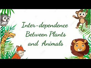 Class 4th || Science || Topic- Interdependence between plants and animals