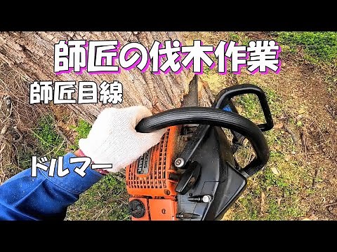 【DIY】チェーンソーで立木伐採 作業者目線 Chainsaw sharpening. Standing tree logging work.
