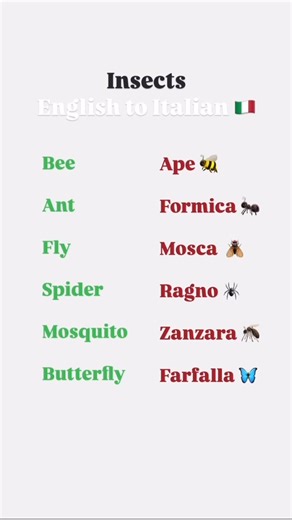 23K views · 320 reactions | #learning @top fans | Learn Italian | Facebook