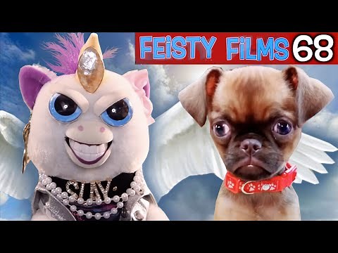Feisty Films Ep. 68: Unicorn Morning Routine!