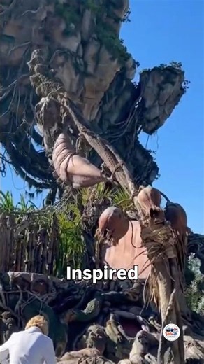 Pandora – The World of Avatar, Disney’s Animal Kingdom, Florida, USA 🇺🇸