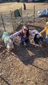789K views · 21K reactions | Not the pig thing again.. #wife #pigs #pets #animals #ohboy | Christopher Cluff | Facebook