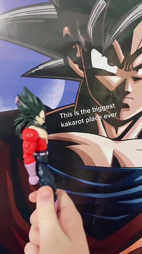 Female Vegeta/ Female Goku (@your_local_female_vegito)’s videos with no it isnt you guys - chesnut🌰