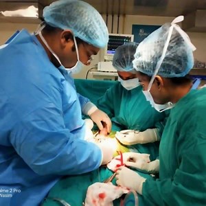 1.6K views · 51 reactions | Happy Men's Day 2019. Morning AMS 700 Penile implant and afternoon lecture for 300 physicians all over India on penile implants. Great day for men's health. | Dr. Vijayant Govinda Gupta | Facebook