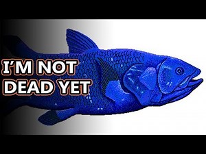 Coelacanth facts: they're called living fossils | Animal Fact Files