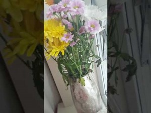 Sup34. Forced allergy sneezing fit from pollen/flowers