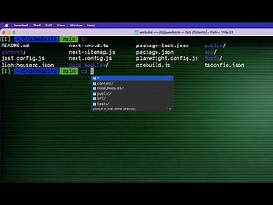 Making your terminal cool [Fish Shell | OMF | AutoSuggestions and more]