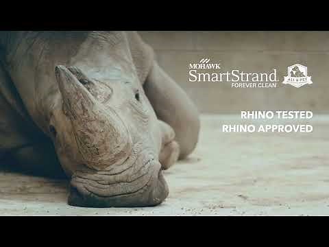 Watch How This Carpet Stands Up to the Ultimate Durability Challenge! | SmartStrand Carpet