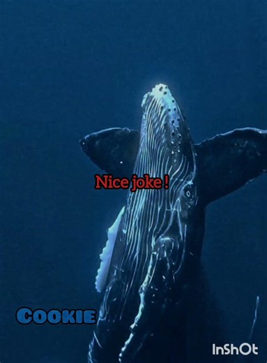 ✨☘️❤️‍🔥