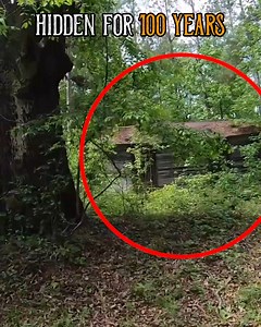 167K views · 3.4K reactions | Exploring old Abandoned house hidden in woods for over 100 years! Watch to see what we find around here and we even take a quick look under it! How this thing is still standing over 100 years back in the woods is amazing. See what history we will discover while exploring this site #history #exploration #adventures | History Seekers | Facebook
