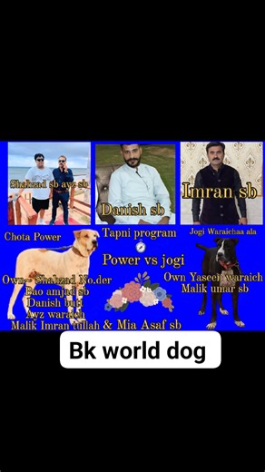 6.3K views · 58 reactions | Bk world dog | Bk world dog | Facebook