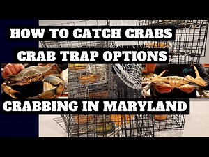 Crabbing In Maryland - Best Crab Trap Options