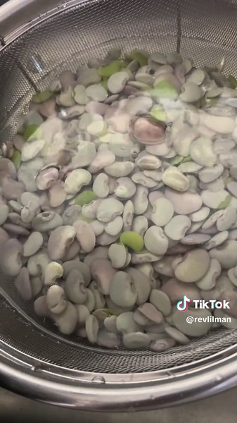 Blanching butterbeans for freezing#countrylife #raisedbedgarden #selfsufficient #fypage
