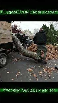 Picking Up Two Large Leaf Piles! with the Billygoat 37HP Debris Loader!