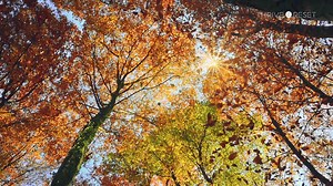 37 reactions · 3 comments | Small moments to pause during a stressful time can help us reset and recharge. Try this 60-second Reset from Thrive Global ☀️ | Arianna Huffington | Facebook