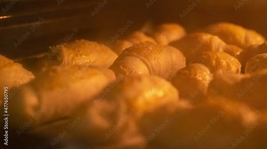 White, chocolate croissants, baking time lapse 4K, rising dough in the oven