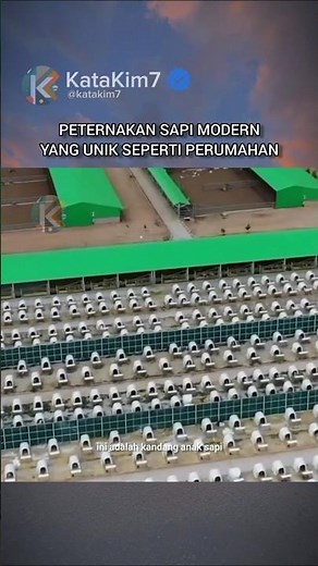 Modern Sapi Farming #uniquefacts