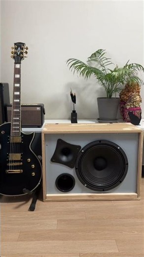 DIY guitar amp with class D amp
