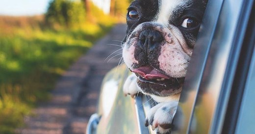 Car Insurance You Can Trust | Get A Quote | UK Call Centre | Lifesure