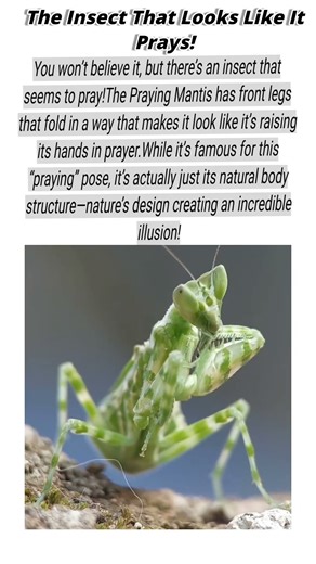 #geographyfacts #usafacts #americanhistory #sciencefacts #earthfacts #usavolcano #worldmysteries