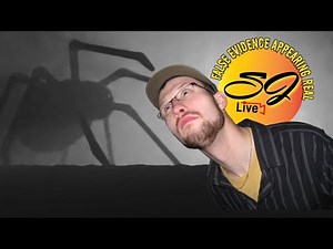 What Cognitive Distortions ARE and how they affect addiction recovery