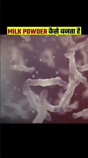 How is milk powder made in a factory? Milk powder making process #youtube #viral.