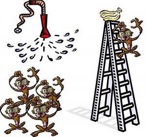 The Five Monkeys Paradigm: Myth, Obedience, and Change