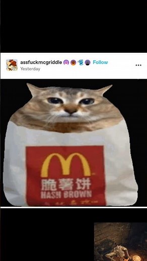 Official theme of hash brown McDonald's cat #tumblr #fyp #memes