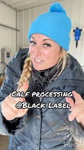 7.8K views · 342 reactions | What’s in your calf processing...