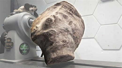 Turning a Thousand-Year-Old Oak into a Beautiful Bowl