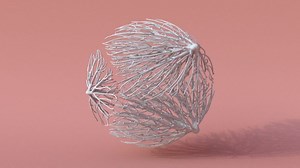 visualizing an open hyphae growth in 3D | Nervous System