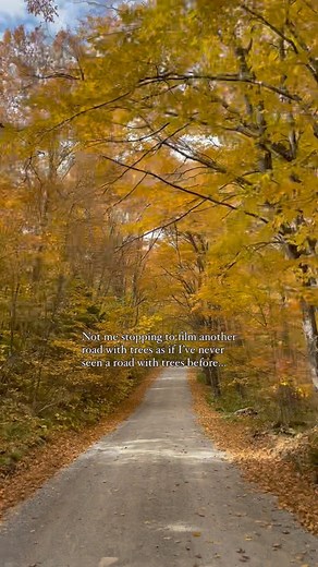 10 Leaf Peeping Etiquette Guidelines🍁 Planning a fall foliage drive? Here’s how to make sure your adventure respects the land and locals: 1. Stick to public roads – Avoid private drives and restricted areas. 2. Be mindful of private property in photos – Be considerate of how people’s homes may be portrayed in your media. 3. Go the speed limit – Don’t slow down traffic, or zoom through winding roads; keep a safe pace for everyone. 4. Park only in designated spots – Avoid pulling off onto grass o